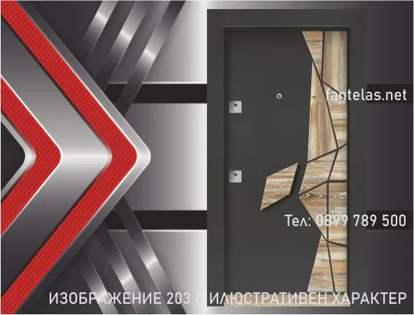 Изображение 203 Входна Врата за Къща